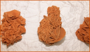Fossils Erfoud in Morocco,marble fossils,quality products ,Achour fossils Fossils Erfoud in Morocco,marble fossils,quality products ,Achour fossils