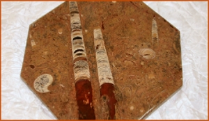 Fossils Erfoud in Morocco,marble fossils,quality products ,Achour fossils Fossils Erfoud in Morocco,marble fossils,quality products ,Achour fossils