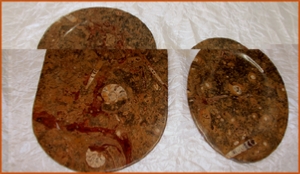 Fossils Erfoud in Morocco,marble fossils,quality products ,Achour fossils Fossils Erfoud in Morocco,marble fossils,quality products ,Achour fossils