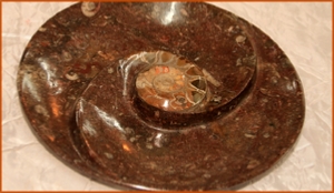 Fossils Erfoud in Morocco,marble fossils,quality products ,Achour fossils Fossils Erfoud in Morocco,marble fossils,quality products ,Achour fossils