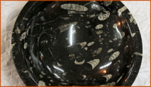 Fossils Erfoud in Morocco,marble fossils,quality products ,Achour fossils Fossils Erfoud in Morocco,marble fossils,quality products ,Achour fossils