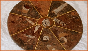 Fossils Erfoud in Morocco,marble fossils,quality products ,Achour fossils Fossils Erfoud in Morocco,marble fossils,quality products ,Achour fossils