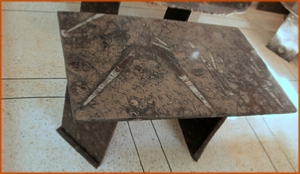 Fossils Erfoud in Morocco,marble fossils,quality products ,Achour fossils Fossils Erfoud in Morocco,marble fossils,quality products ,Achour fossils
