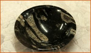 Fossils Erfoud in Morocco,marble fossils,quality products ,Achour fossils Fossils Erfoud in Morocco,marble fossils,quality products ,Achour fossils