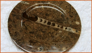 Fossils Erfoud in Morocco,marble fossils,quality products ,Achour fossils Fossils Erfoud in Morocco,marble fossils,quality products ,Achour fossils