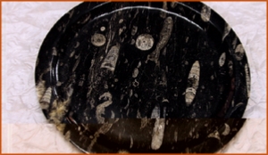 Fossils Erfoud in Morocco,marble fossils,quality products ,Achour fossils Fossils Erfoud in Morocco,marble fossils,quality products ,Achour fossils