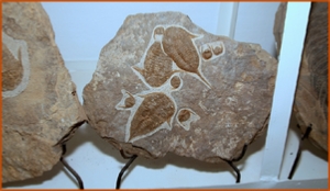 Fossils Erfoud in Morocco,marble fossils,quality products ,Achour fossils Fossils Erfoud in Morocco,marble fossils,quality products ,Achour fossils