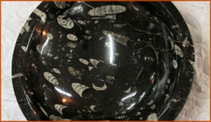 Fossils Erfoud in Morocco,marble fossils,quality products ,Achour fossils Fossils Erfoud in Morocco,marble fossils,quality products ,Achour fossils