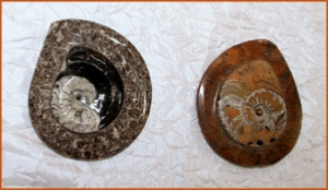 Fossils Erfoud in Morocco,marble fossils,quality products ,Achour fossils Fossils Erfoud in Morocco,marble fossils,quality products ,Achour fossils