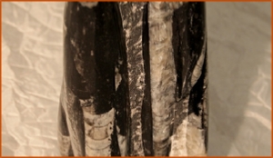 Fossils Erfoud in Morocco,marble fossils,quality products ,Achour fossils Fossils Erfoud in Morocco,marble fossils,quality products ,Achour fossils